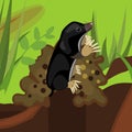 Cartoon black mole on molehill in natural habitat